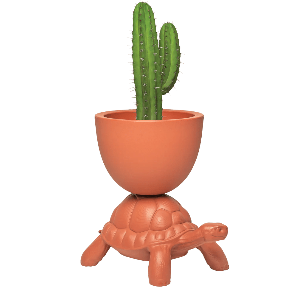 Qeeboo Turtle-Shaped Planter & Champagne Cooler - Unique Home Decor & Party Accessory for Indoor/Outdoor Use