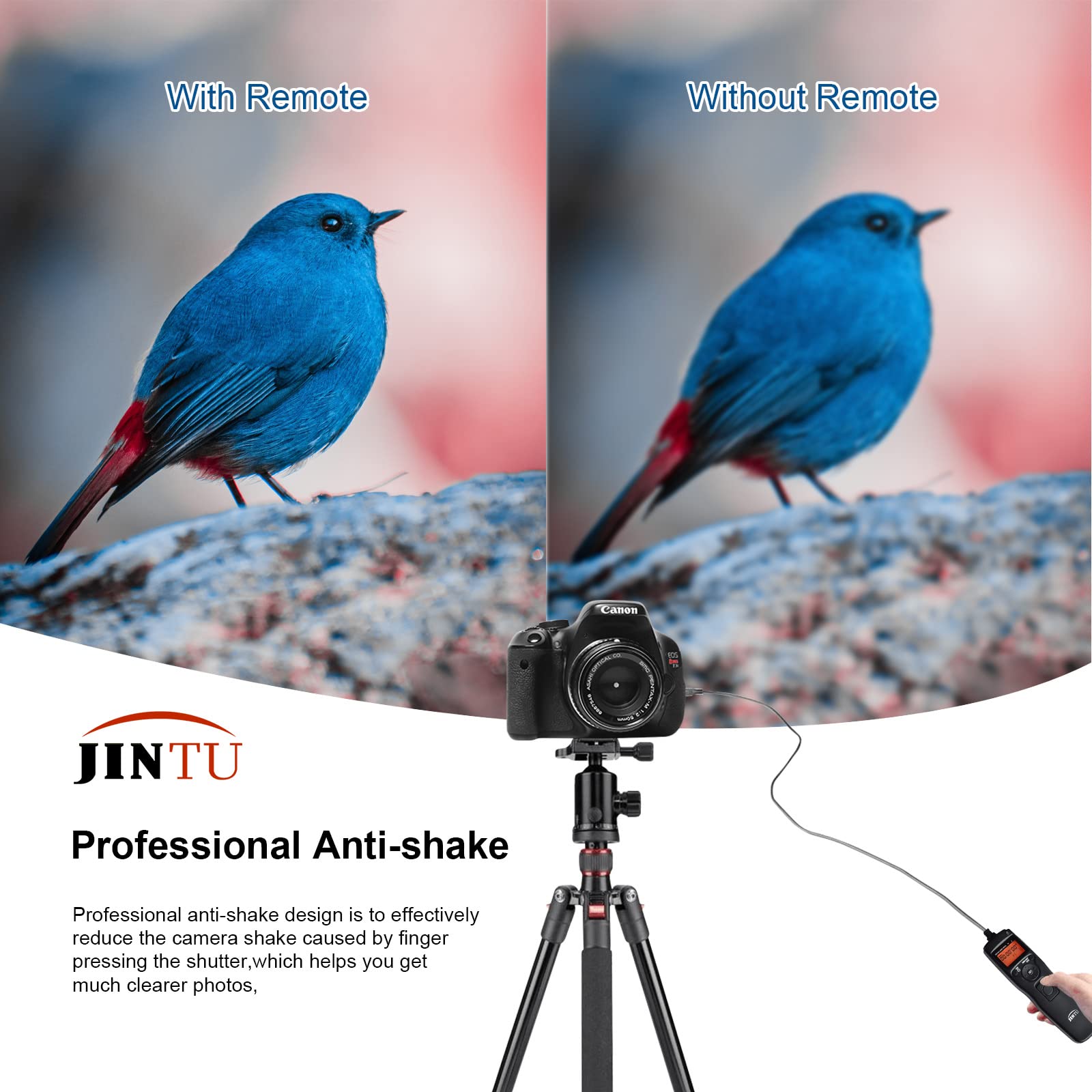Wireless Timer Remote Shutter Release for Canon DSLR Cameras - Compatible with 2000D, T7, 550D, 60D, 70D, 80D, 90D, 5D, 6D, 7D & More - Perfect for Time-Lapse, Group Photos & Long Exposure Photography