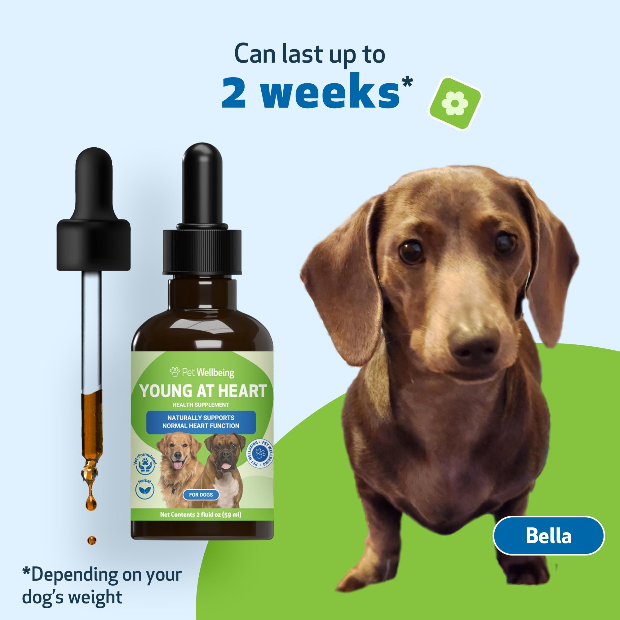 Pet Wellbeing Young at Heart for Dogs - Heart Health Supplement with Hawthorn, Motherwort & Schisandra - Supports Circulatory & Cardiovascular System - Vet-Formulated Herbal Drops (2 fl oz/59 ml) - Ideal for Senior Dogs & Heart Health Maintenance