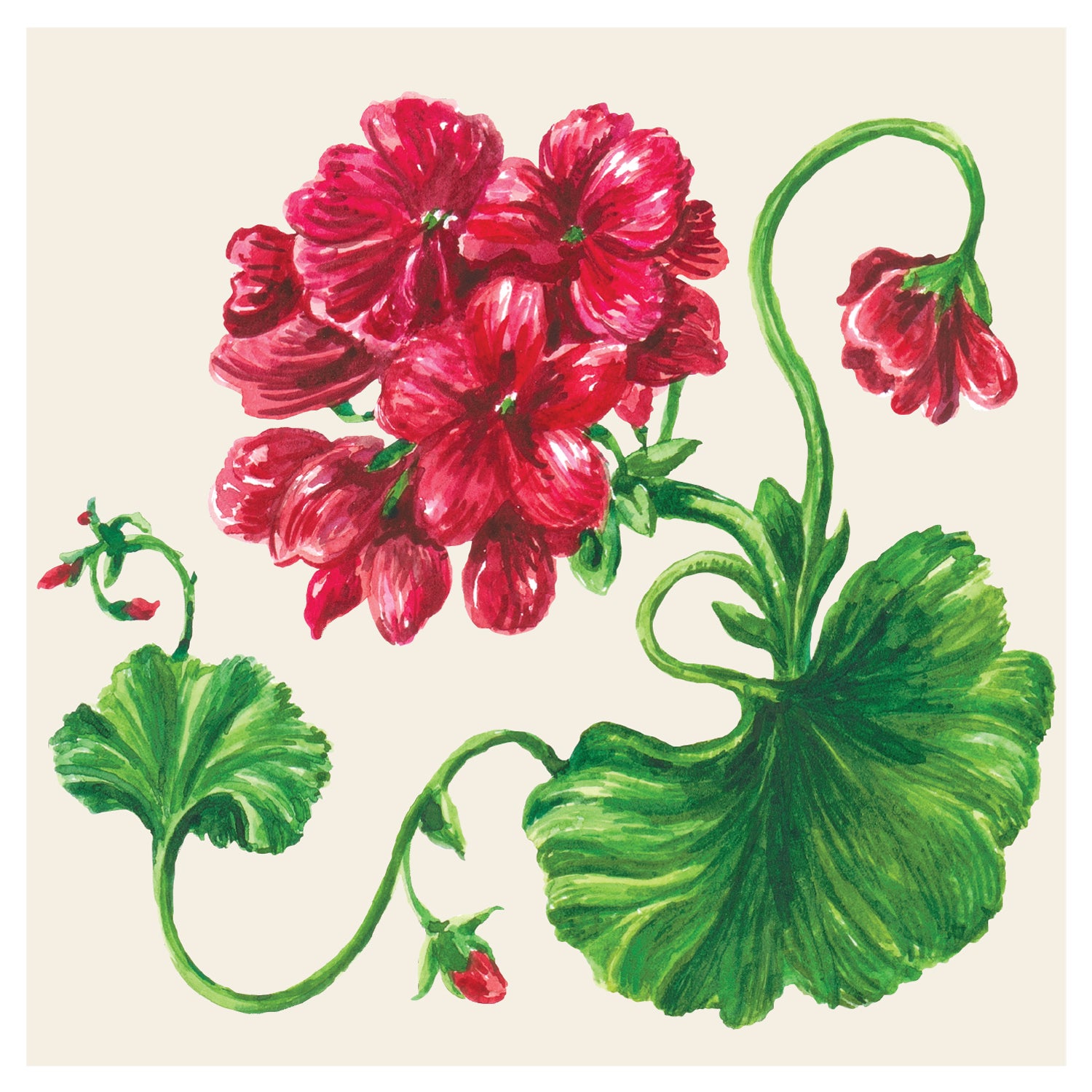 Premium Geranium Printed Paper Napkins - Elegant Floral Design for Dinner Parties, Weddings & Home Decor
