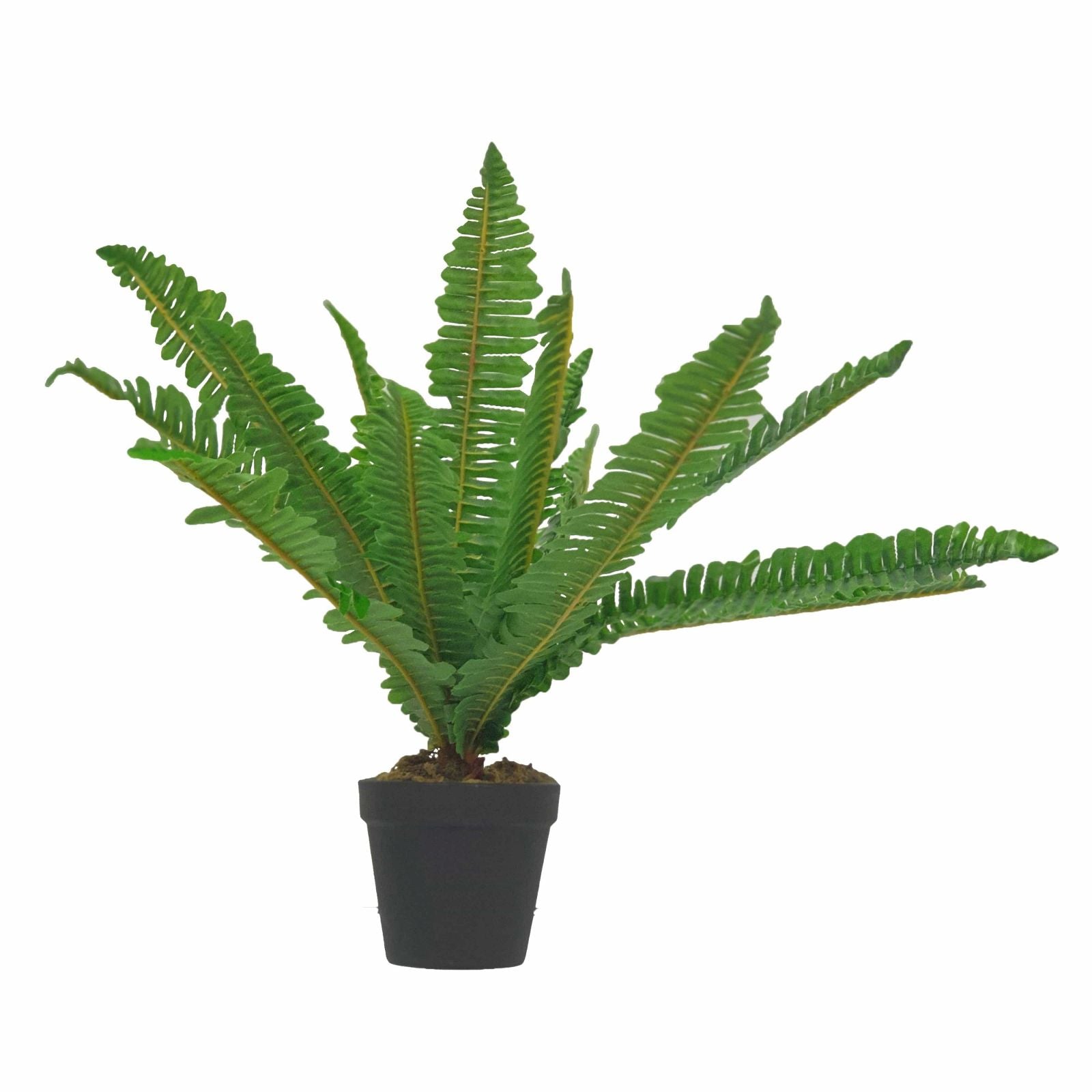 50cm Artificial Green Leaf Fern Plant by Criterion - Realistic Fake Plant for Home Decor, Office, Living Room, Bedroom & Indoor Spaces