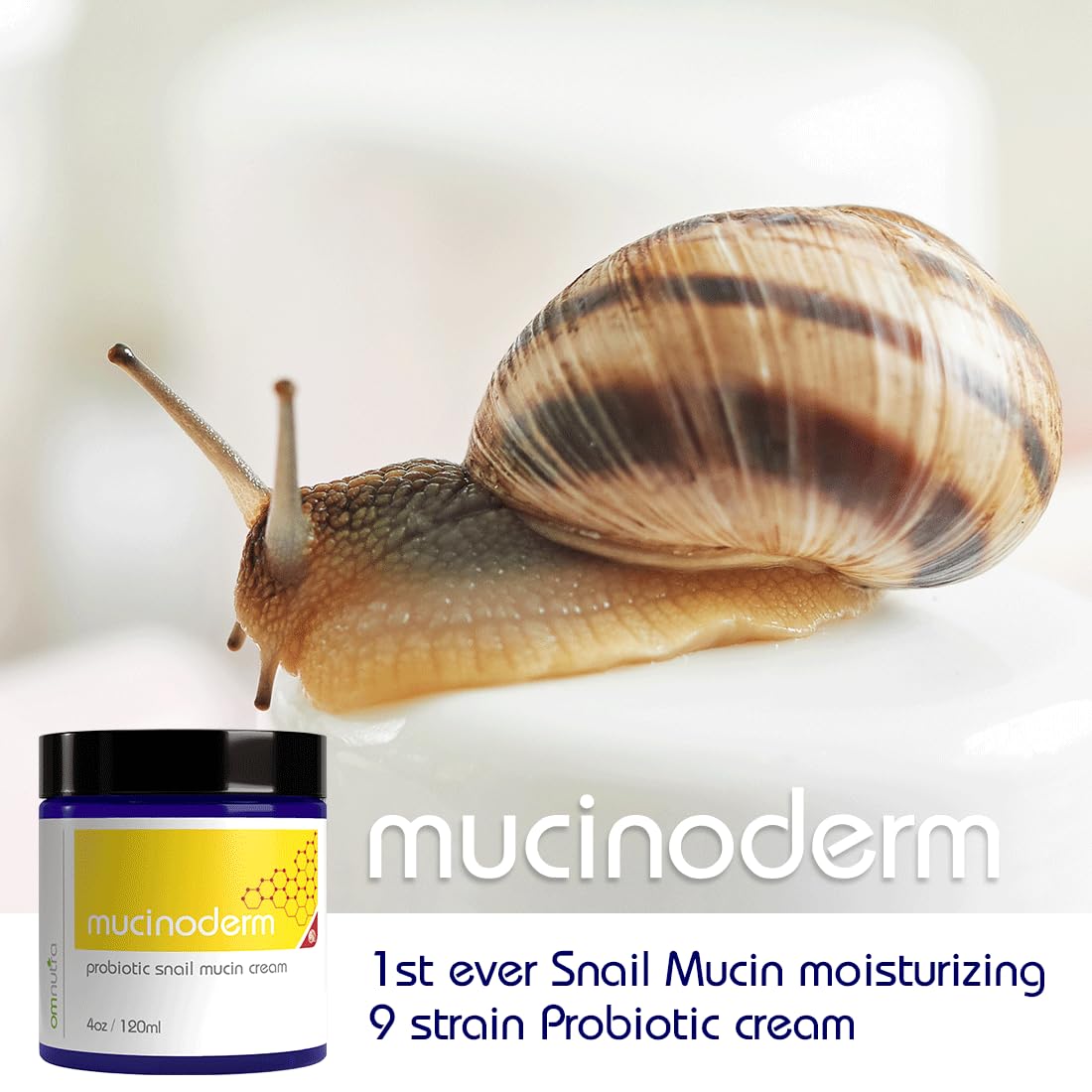 Organic Snail Mucin Moisturizer Cream - 4oz Korean Skincare with Probiotics for Dry Skin Repair | Hydrating Snail Rescue Serum for Face & Body | Perfect for Night Routine & Sensitive Skin Care