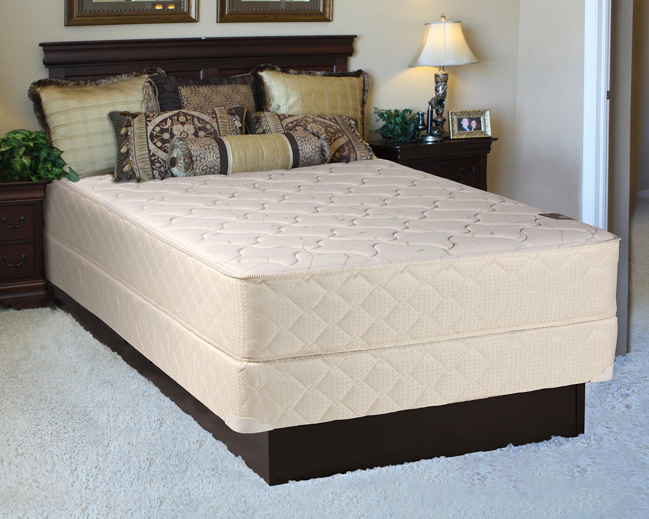 Dream Sleep Comfort Rest Gentle Firm Queen Size Mattress Set with Protective Cover - Orthopedic Support, Enhanced Cushioning & Breathable Knit Fabric for Lasting Comfort | Perfect for Back Pain Relief, Guest Rooms & Master Bedrooms