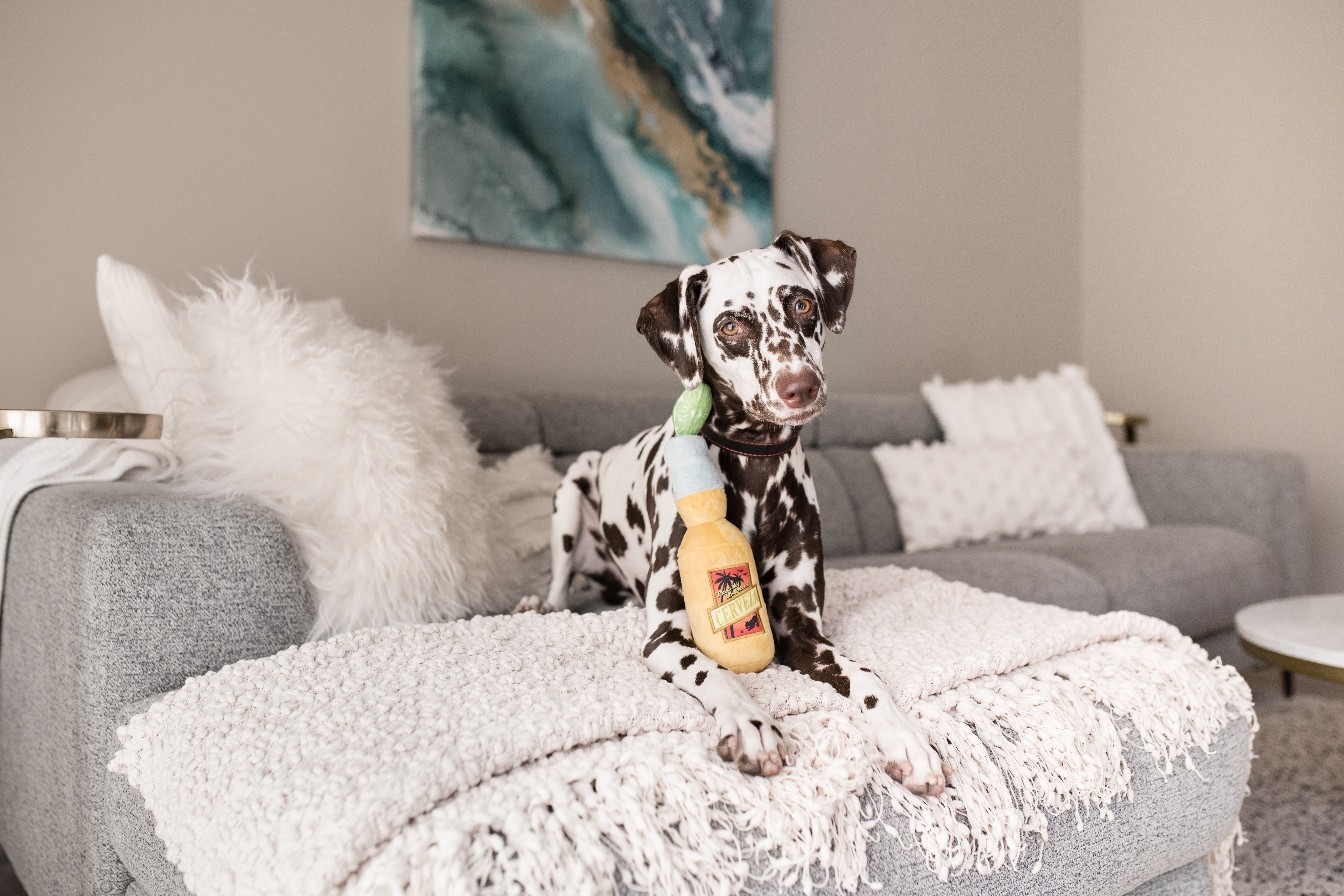 Tropical Paradise™ Dog Plush Toy - La Cerveza Tropical Beer-Shaped Chew Toy for Dogs | Durable & Soft Pet Play Toy for Small, Medium & Large Breeds | Perfect for Playtime, Training & Cuddling