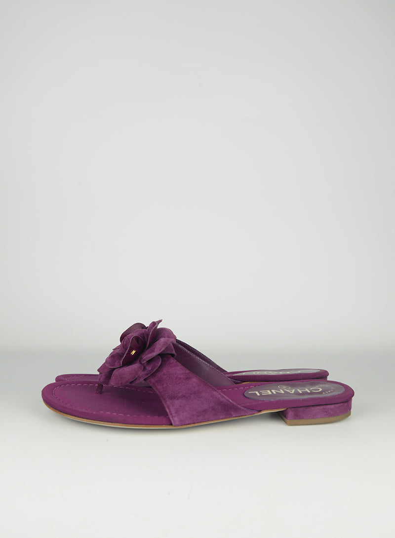 Chanel Camelia Flat Sandals Size 36 - Women's Luxury Designer Shoes for Casual Wear & Summer Outfits