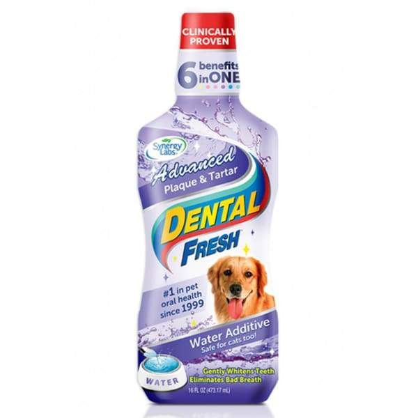 Synergy Labs Dental Fresh Plaque & Tartar Remover for Dogs - 17oz Water Additive for Clean Teeth & Fresh Breath - Perfect for Daily Oral Care & Dental Hygiene