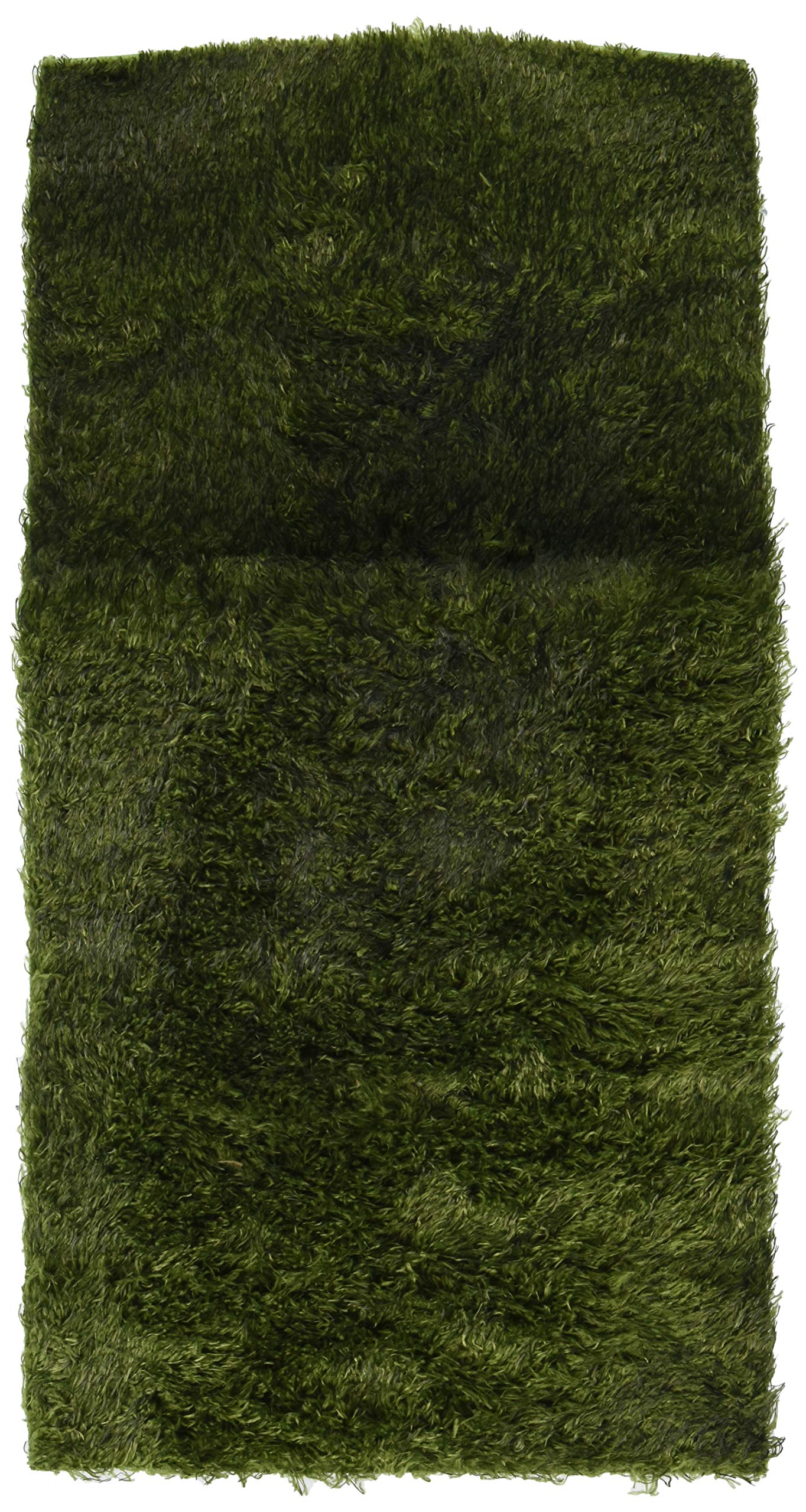 Exo Terra Moss Mat - Natural Terrarium Flooring for Reptiles, Amphibians & Vivariums | Enhances Humidity & Aesthetics | Perfect for Frogs, Geckos & Snakes