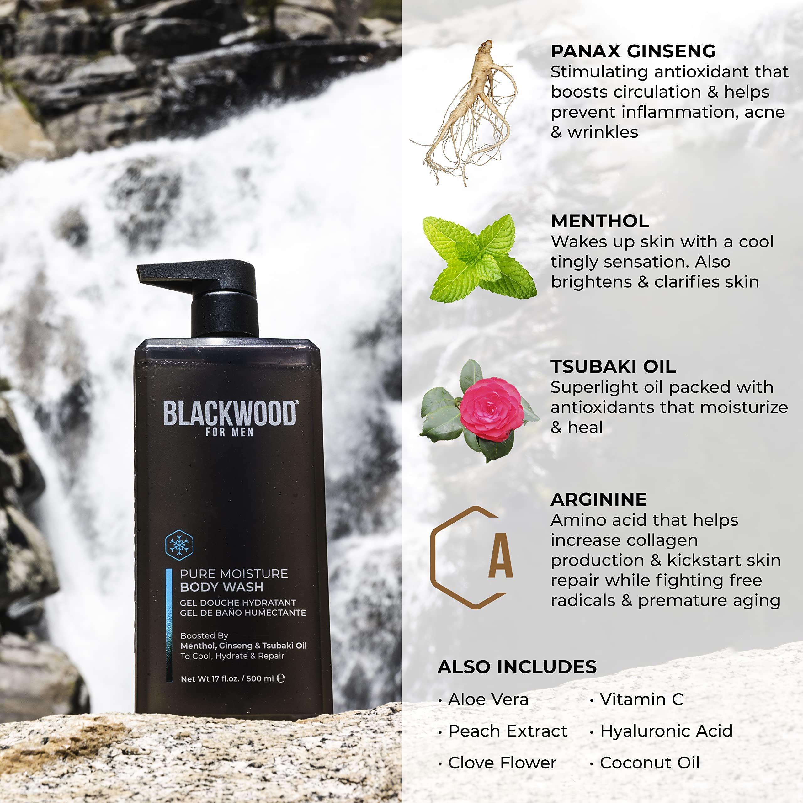 Blackwood For Men Active Daily Shampoo & Conditioner Set (17 Oz Each) with Pure Moisture Body Wash - 3-in-1 Grooming Kit for Gym, Work & Travel