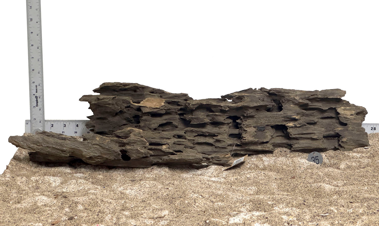 WYSIWYG #35S Ohko Wood (XXL) - Premium Natural Aquarium Driftwood for Fish Tank Decoration, Terrarium & Reptile Habitat