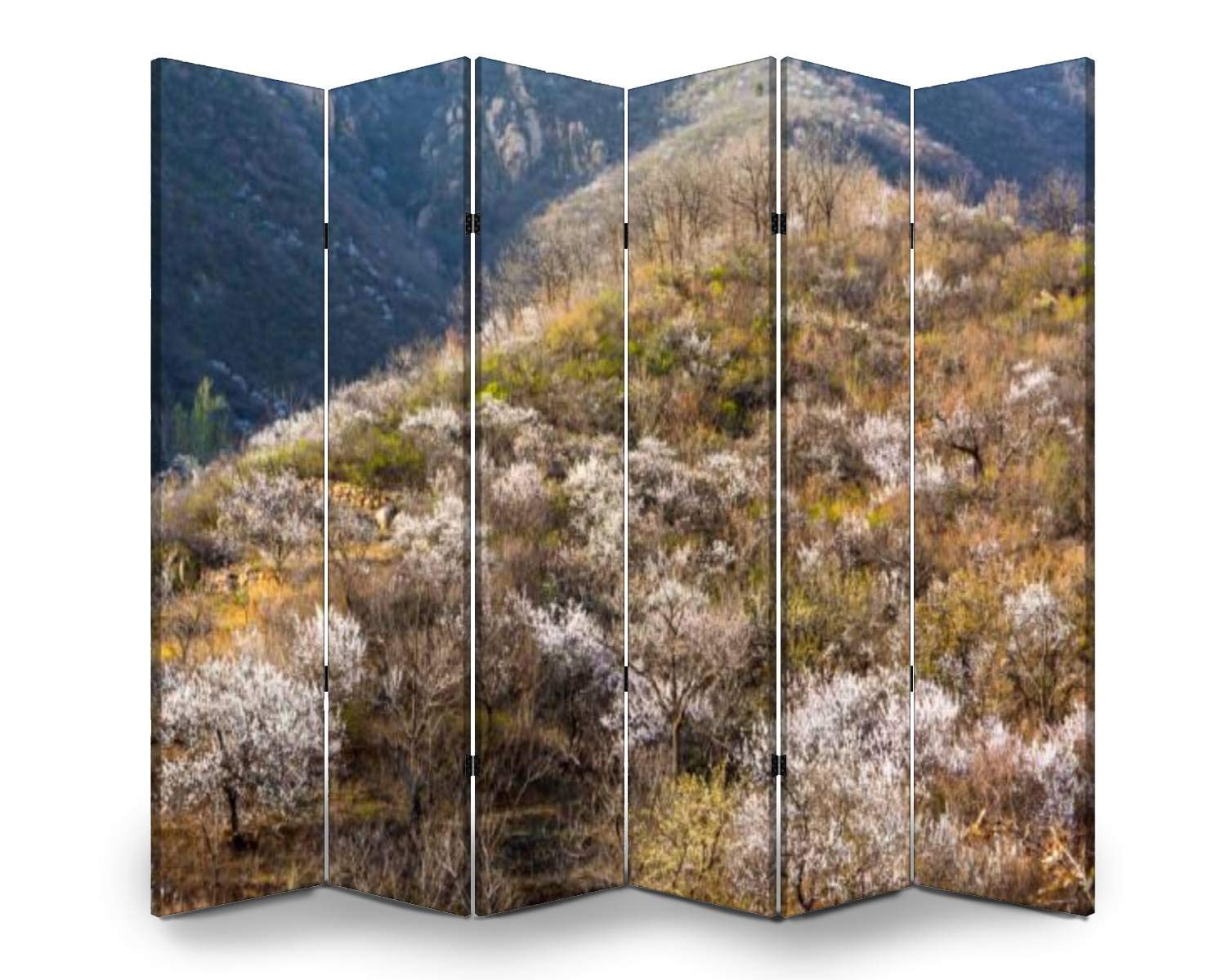 6-Panel Wooden Room Divider - Early Spring Beijing Suburb Canvas Folding Screen for Privacy & Partition | Dual-Sided Decorative Wall Panel | Indoor Display Shelf for Living Room, Bedroom & Office