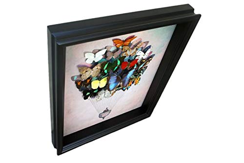 Real Framed Butterfly Art Hot Air Balloon - Nature Inspired Wall Decor for Living Room, Bedroom & Office | Unique Home Decoration Gift Idea