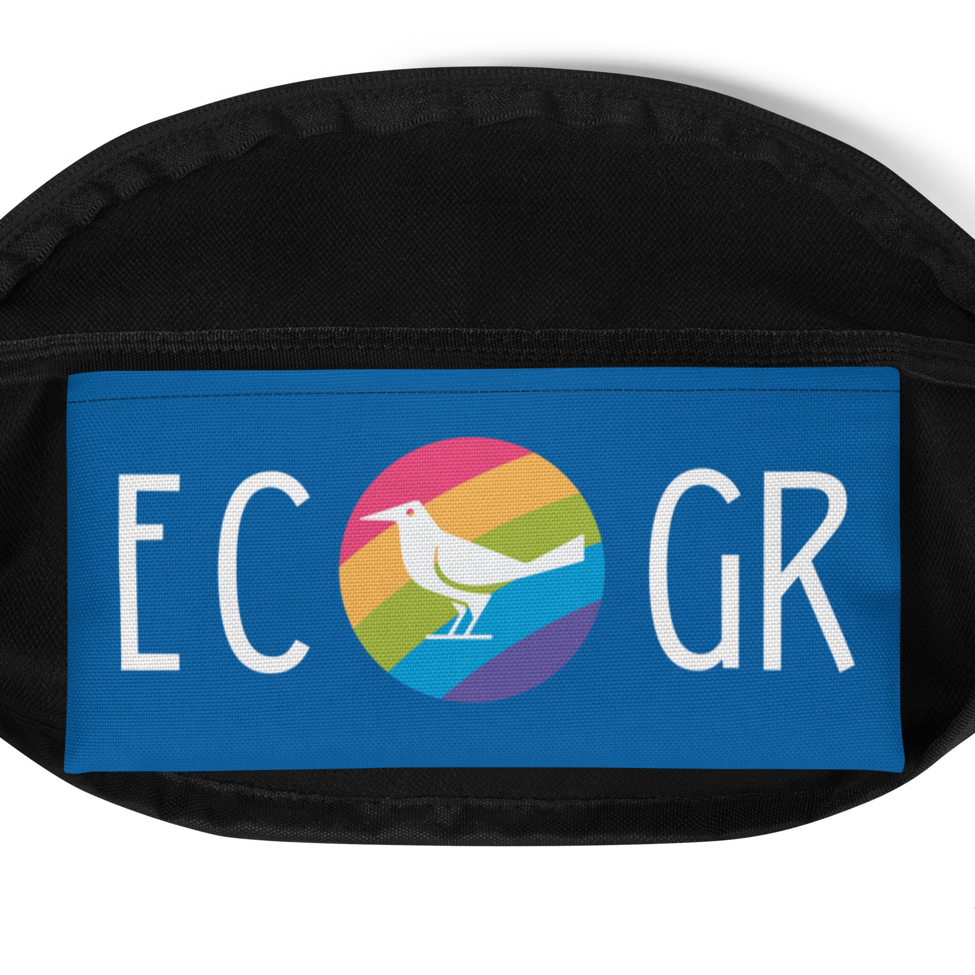 East Co. Grackles Fanny Pack - Waterproof Waist Bag for Men & Women - Hands-Free Crossbody Bum Bag for Hiking, Running, Travel & Outdoor Activities