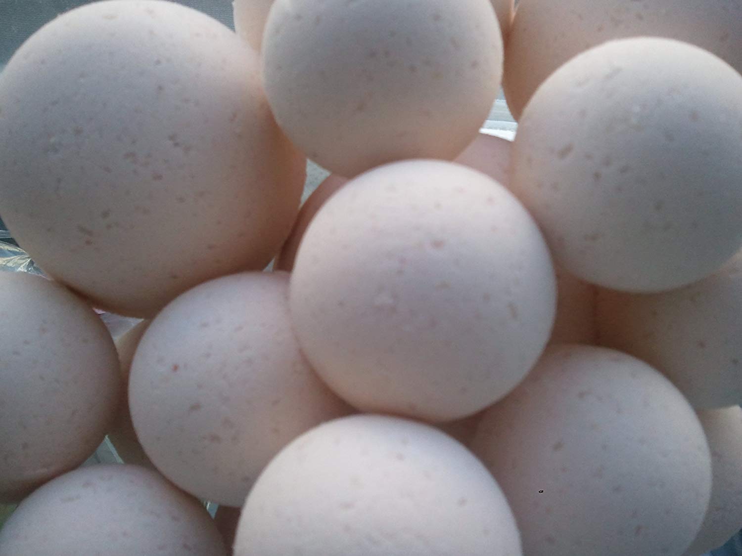Egyptian Musk Bath Bombs - 14 Count Moisturizing Shea Butter Bath Bombs for Dry Skin, Made in USA | Relaxing Aromatherapy for Spa Night & Self-Care Gifts