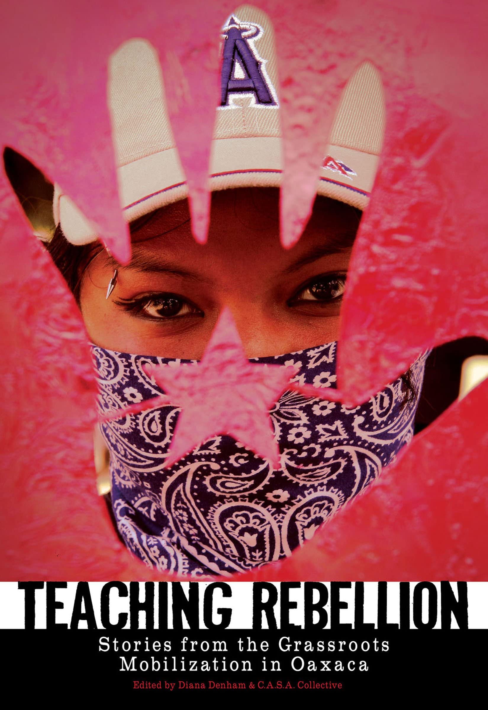 Teaching Rebellion: Stories from Grassroots Mobilization in Oaxaca - PM Press Book on Social Movements & Education Reform | Perfect for Activists, Educators & History Students
