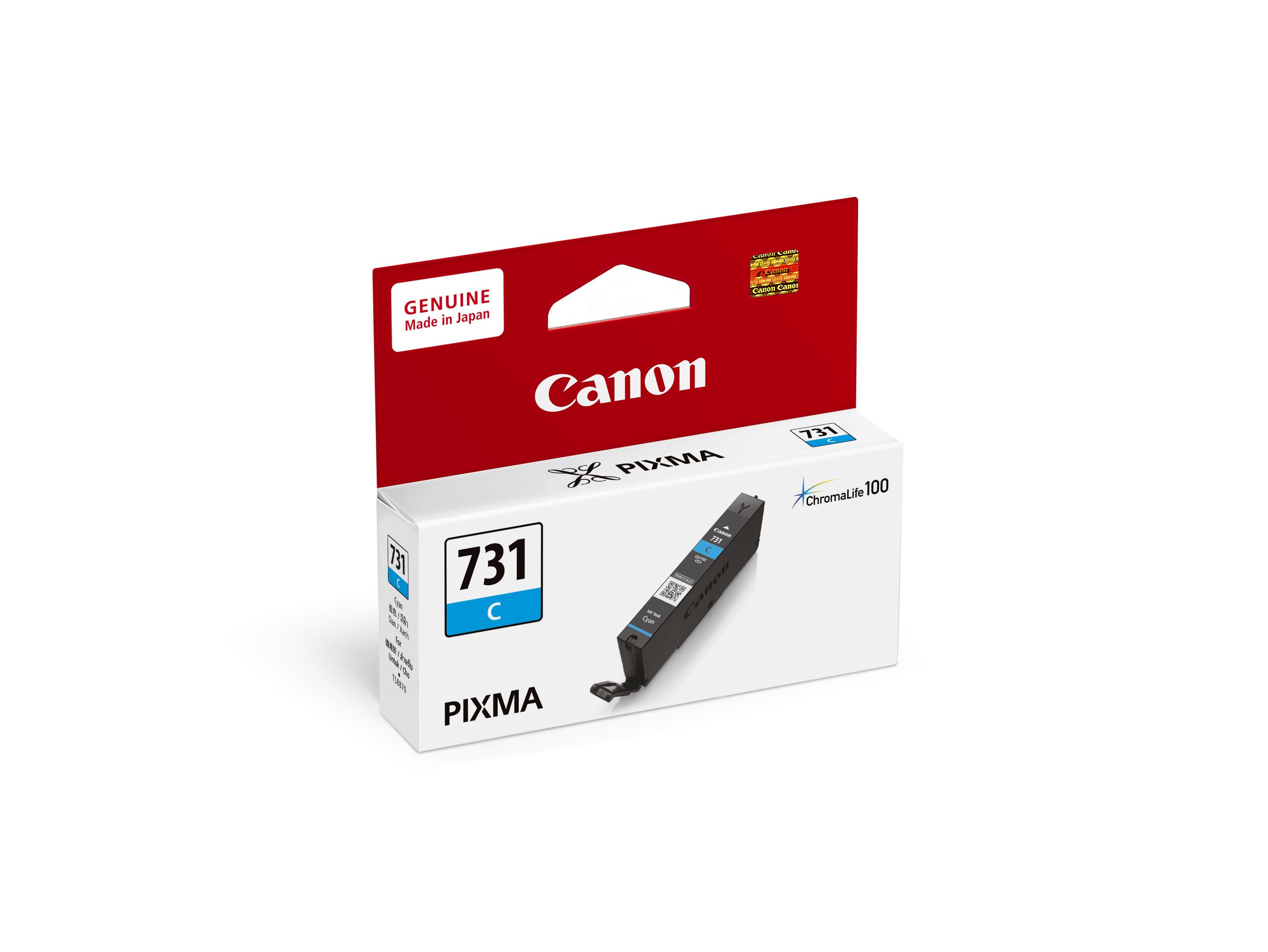 Canon CLI-731 Ink Cartridge - Compatible with PIXMA Printers | High-Quality Photo & Document Printing | Ideal for Home, Office & School Use