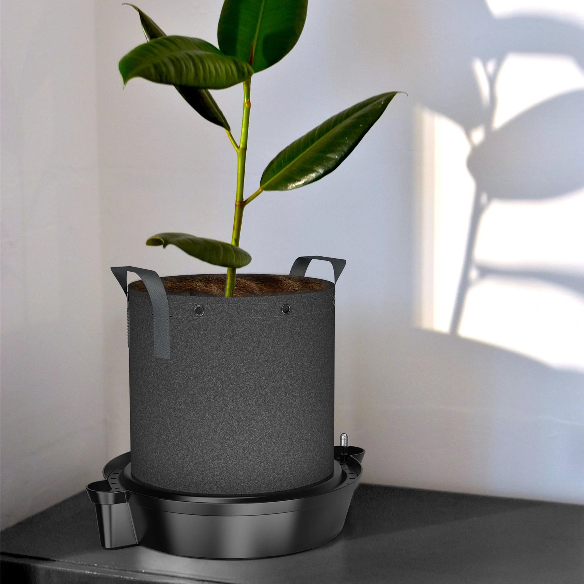 AC Infinity Self Watering Fabric Pot Base 4 Pack - Automatic Plant Watering System for Indoor/Outdoor Plants, Perfect for Grow Bags, Raised Beds & Container Gardening