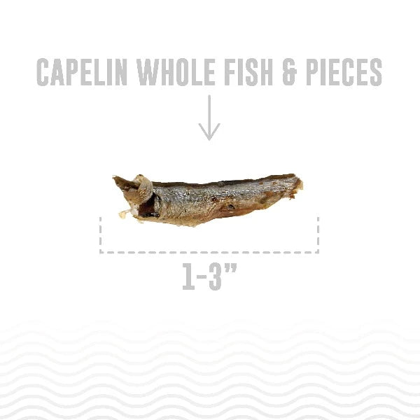 Premium Icelandic Capelin Whole Fish Cat Treats - Natural, High-Protein Snack for Cats - Perfect for Training, Rewards & Dental Health