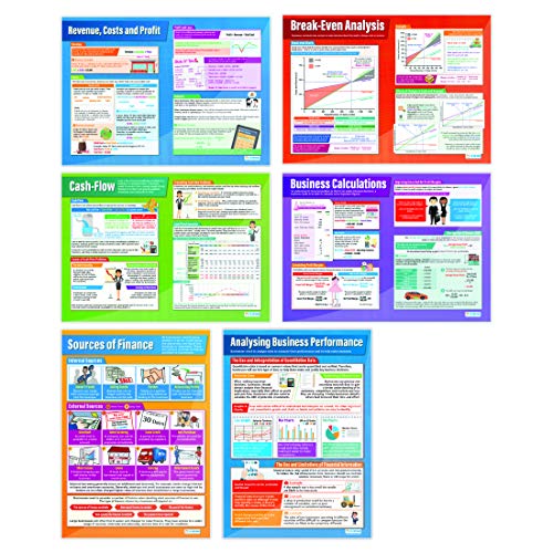 Accounting and Finance Business Posters - Set of 6 - Glossy Paper - 33” x 23.5” - Educational School Classroom Decor - Perfect for Offices, Study Rooms & Financial Learning Spaces