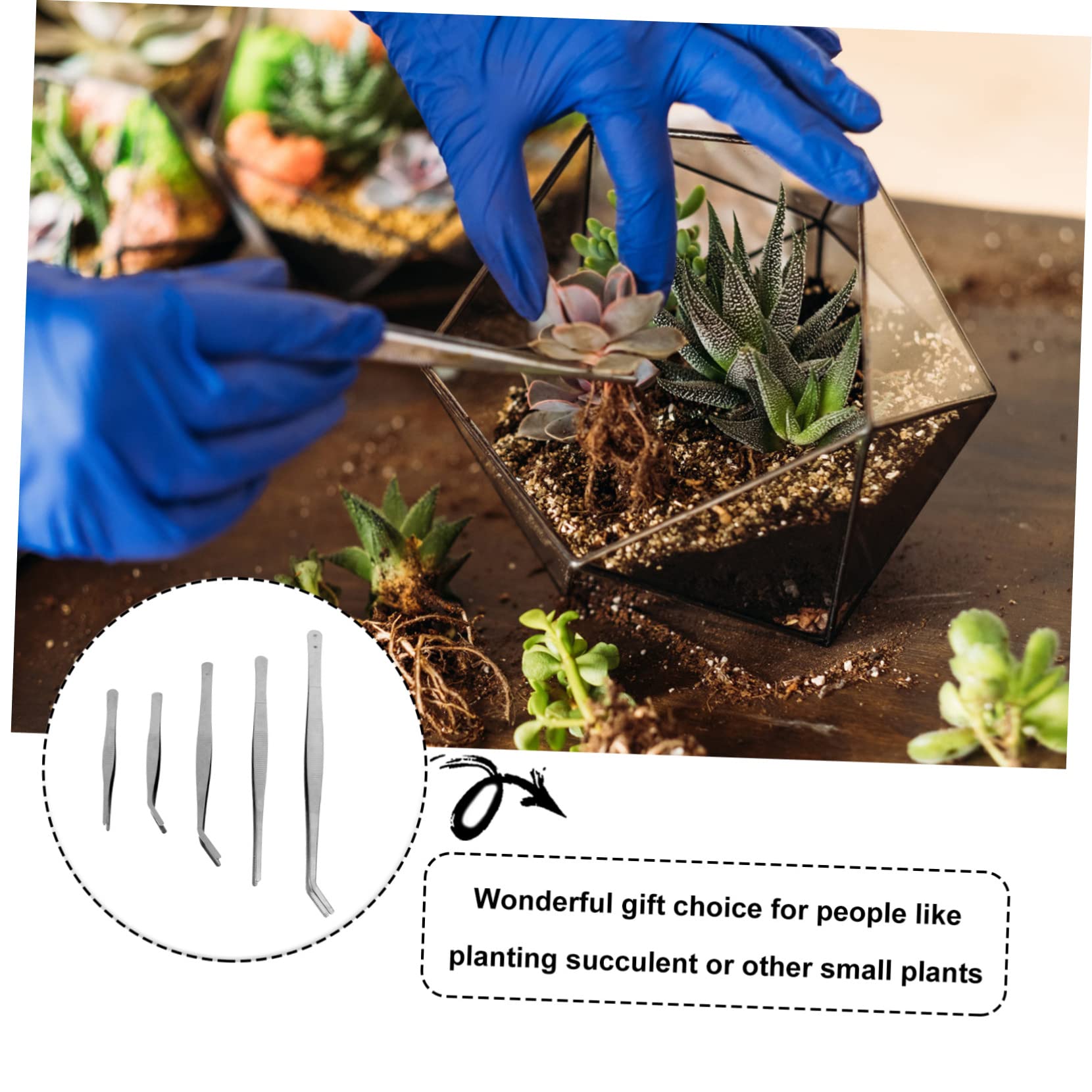 NOLITOY 10-Pack Stainless Steel Precision Tweezers for Gardening, Snake Feeding & Miniature DIY - Curved Tip Tongs for Planting, Reptile Care, Stamp Collecting & Craft Projects