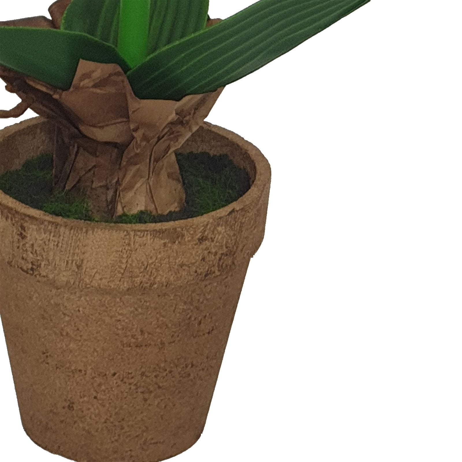 40cm Artificial Peach Flower Plant by Criterion - Perfect for Home Decor, Office Desk, Wedding Centerpieces & Party Arrangements