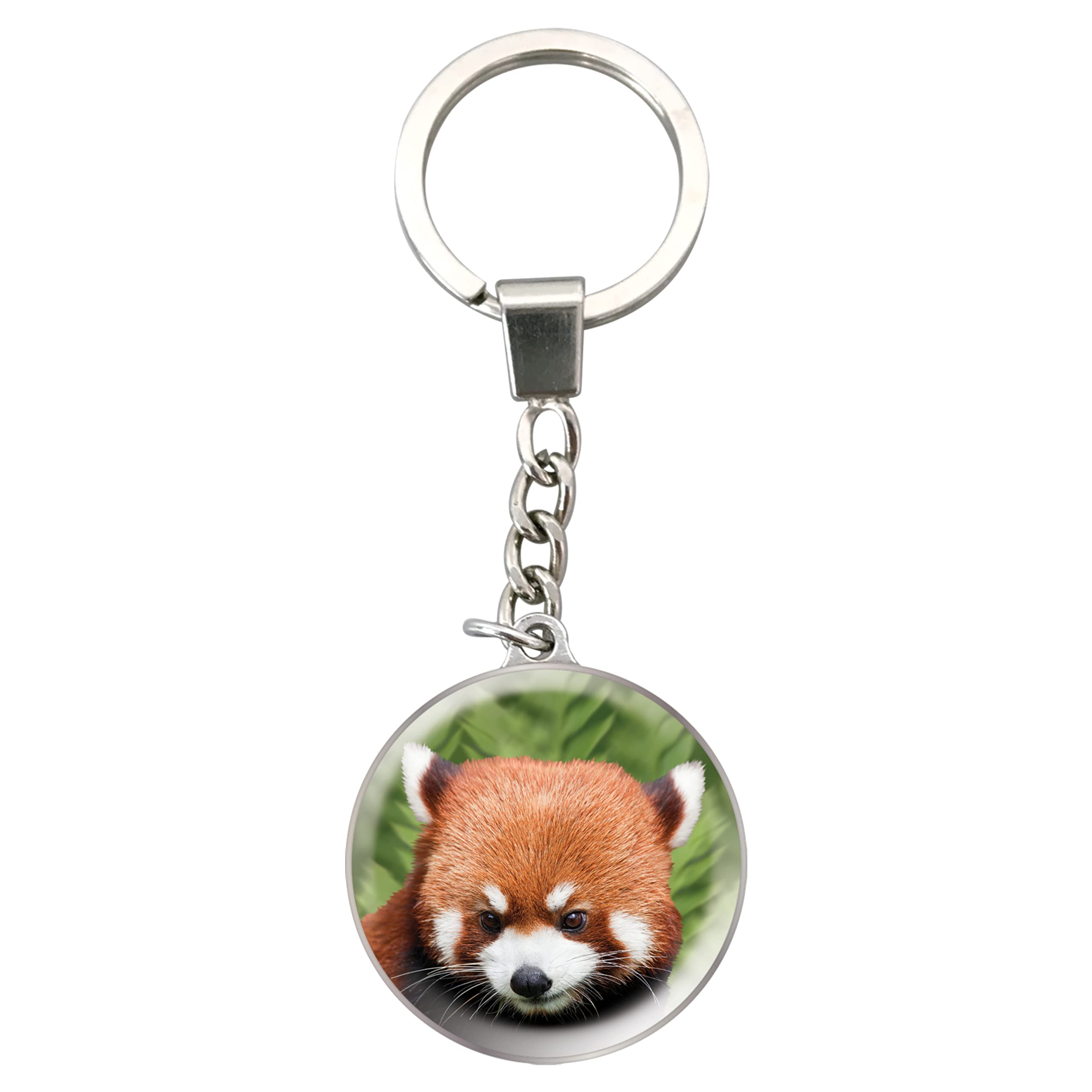 Deluxebase Magnidome Keychain - Dome Shaped Picture Key Ring with Stainless Steel Chain & Crystal Glass Dome | Perfect for Gifts, Travel Souvenirs, and Personal Keepsakes