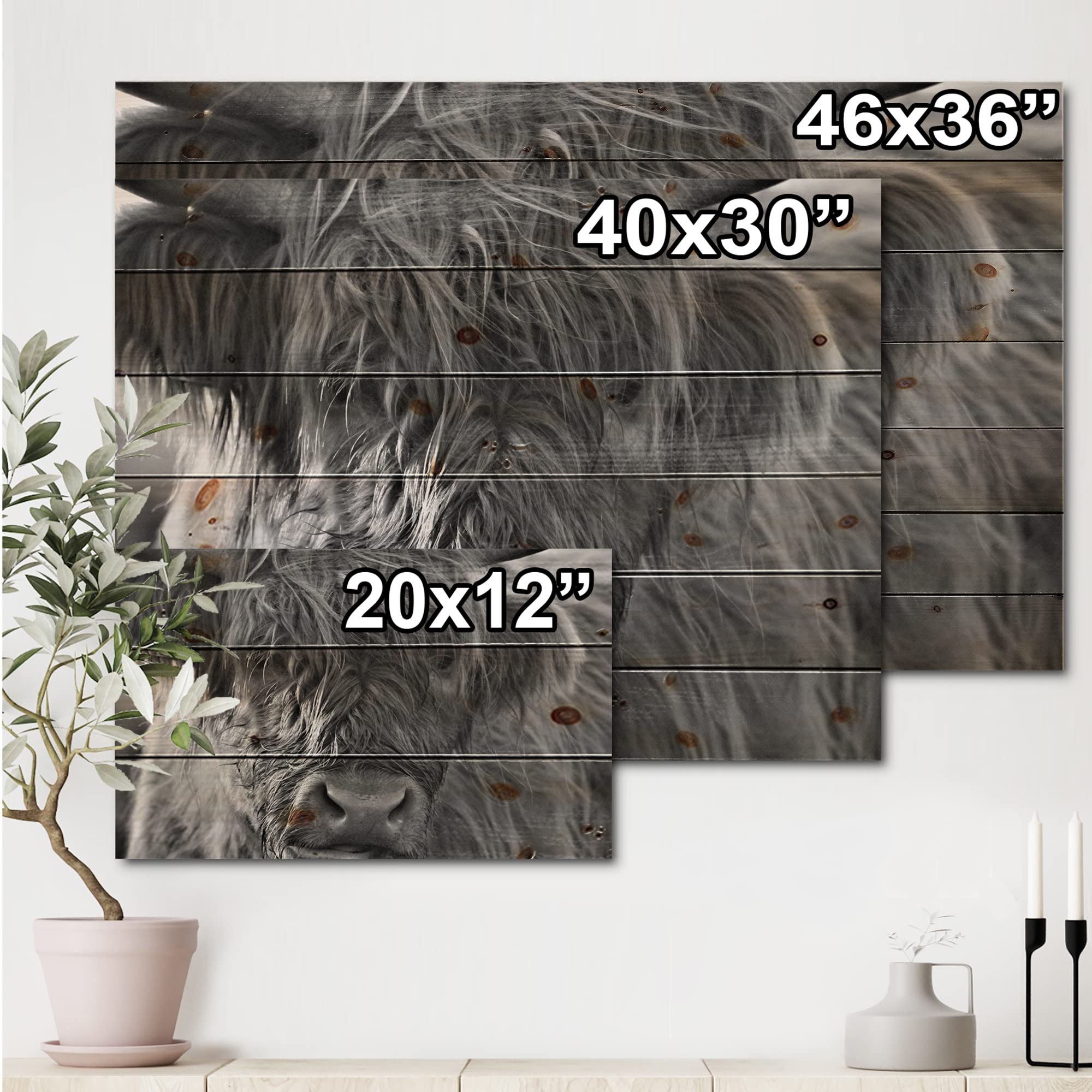Scottish Highland Cows Living On Moorland Farmhouse Wood Wall Decor - Grey Wood Wall Art with Large Animals - Natural Pine Wood Wall Panels for Living Room, Bedroom & Farmhouse Decor