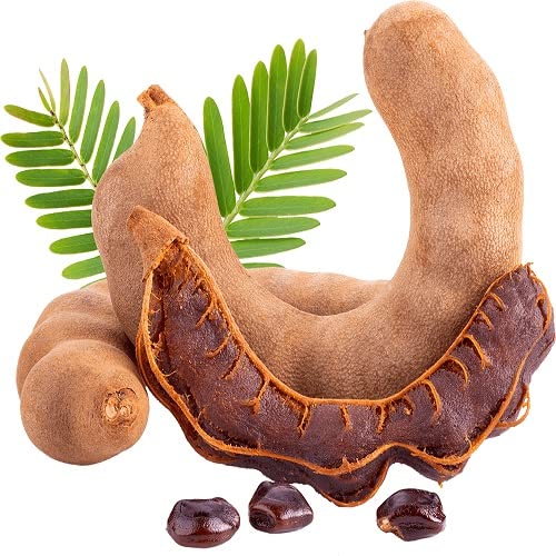 Organic Tamarind Seeds (Imli Beej) - 100% Natural, Non-GMO, Chemical-Free - 1kg Bulk Pack for Cooking, Herbal Remedies & Planting - Perfect for Indian Cuisine, Ayurvedic Medicine & Home Gardening