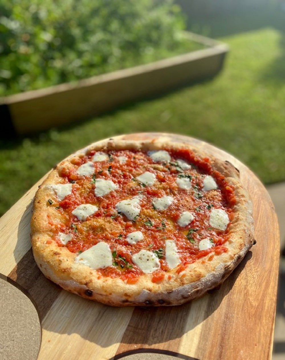 BUENA VENTURA SIERRA PREMIUM HYBRID PIZZA OVEN - Outdoor & Indoor Wood & Gas Pizza Maker for Backyard, Patio, Restaurant - Perfect for Home Cooking, Camping & Commercial Use
