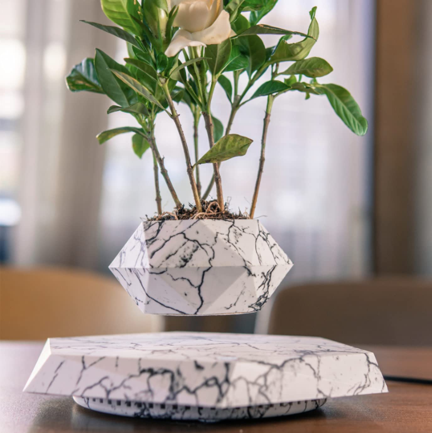 Floating Plant Pot - Levitating Air Bonsai Planter for Home & Office Decor | Unique Hanging Flower Pot for Indoor Plants, Succulents & Herbs | Perfect for Living Room, Desk Decor & Gift Ideas
