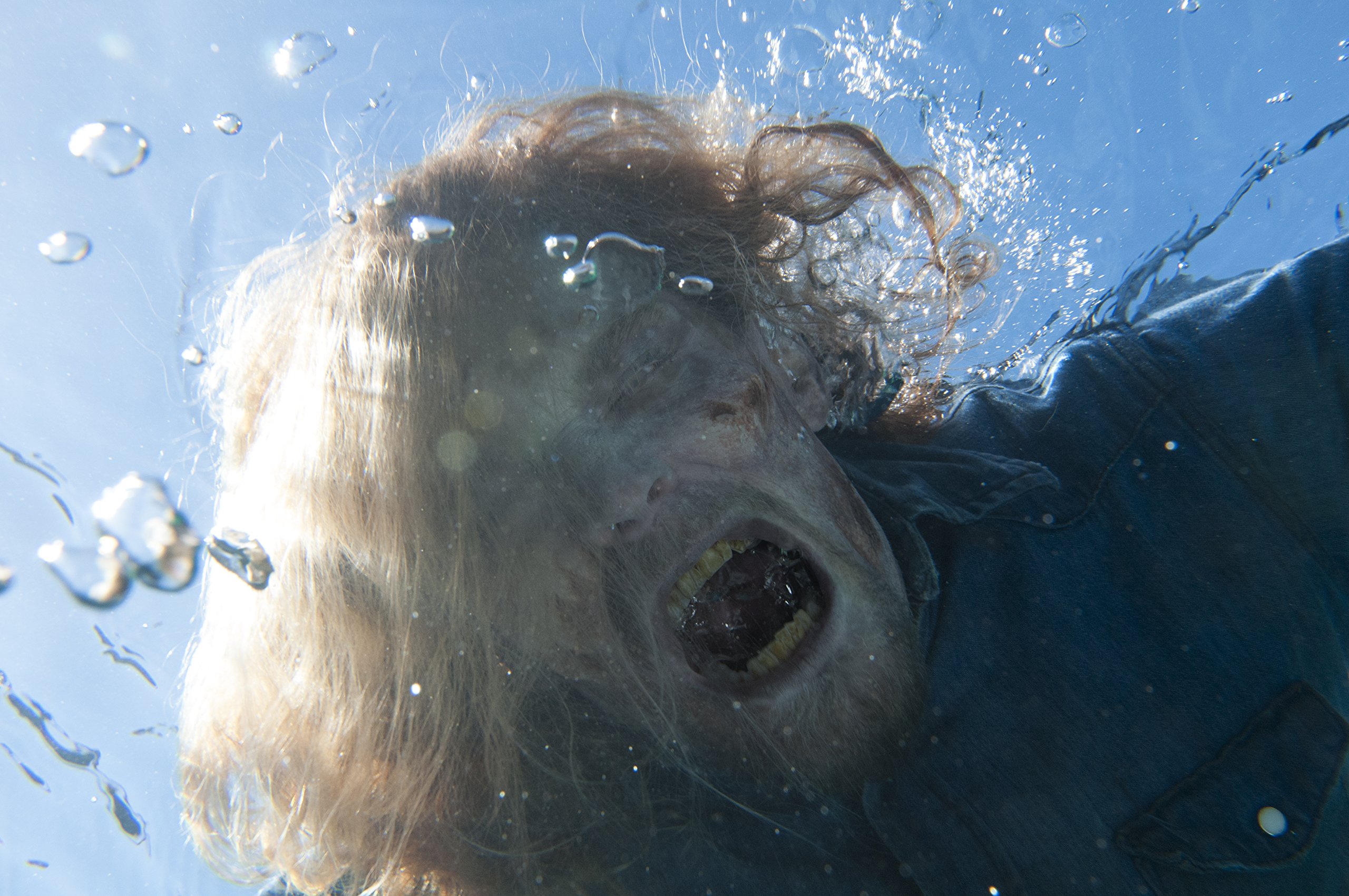 Fear The Walking Dead DVD - Complete Season Box Set | Horror TV Series for Fans | Perfect for Halloween Movie Nights & Zombie Lovers