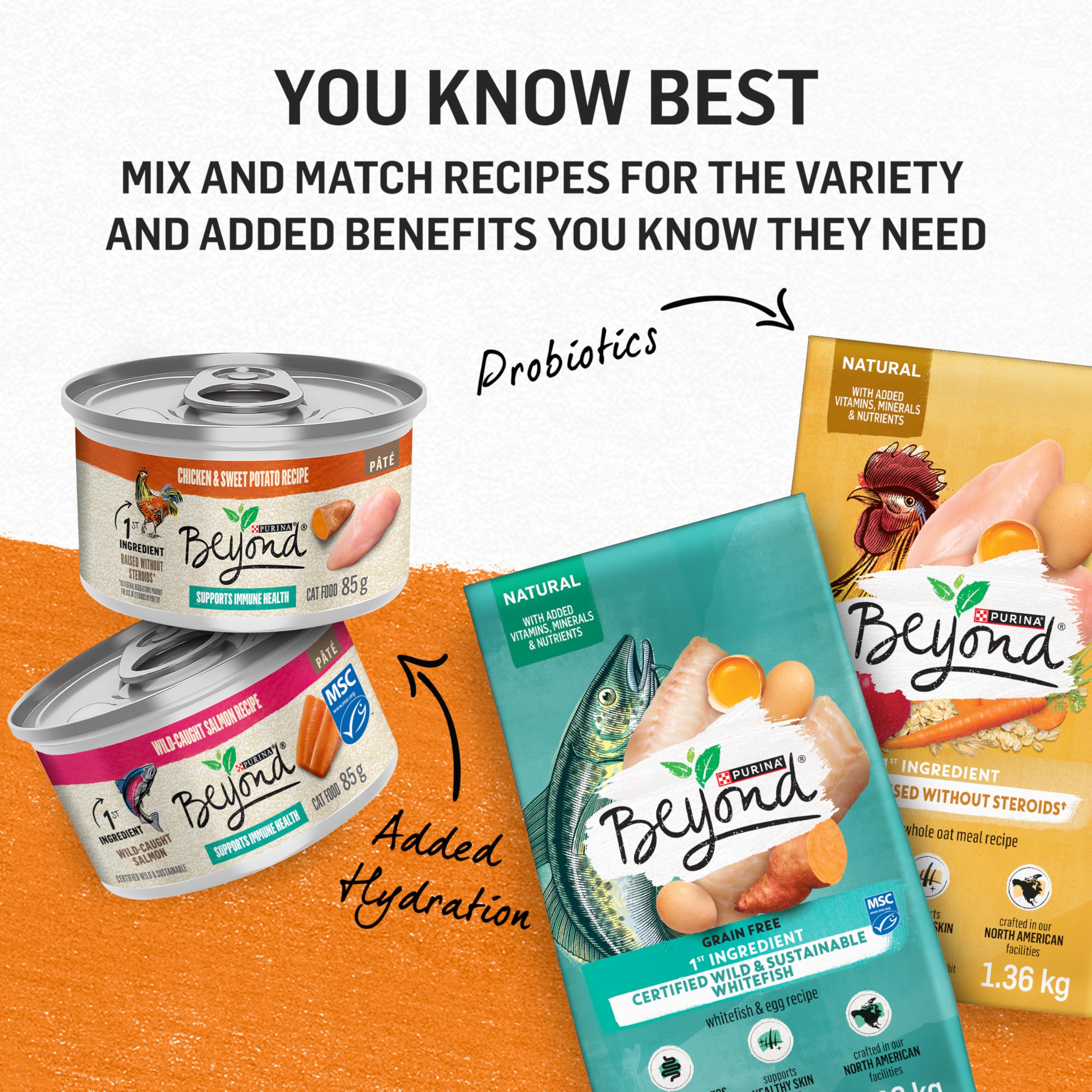 Beyond Grain Free Natural Wet Cat Food Pate Variety Pack - 4 Flavors (Tuna, Salmon, Chicken, Turkey) 85g Cans (24 Pack) | High Protein, Healthy Ingredients for Adult & Senior Cats | Perfect for Mealtime, Travel & Picky Eaters