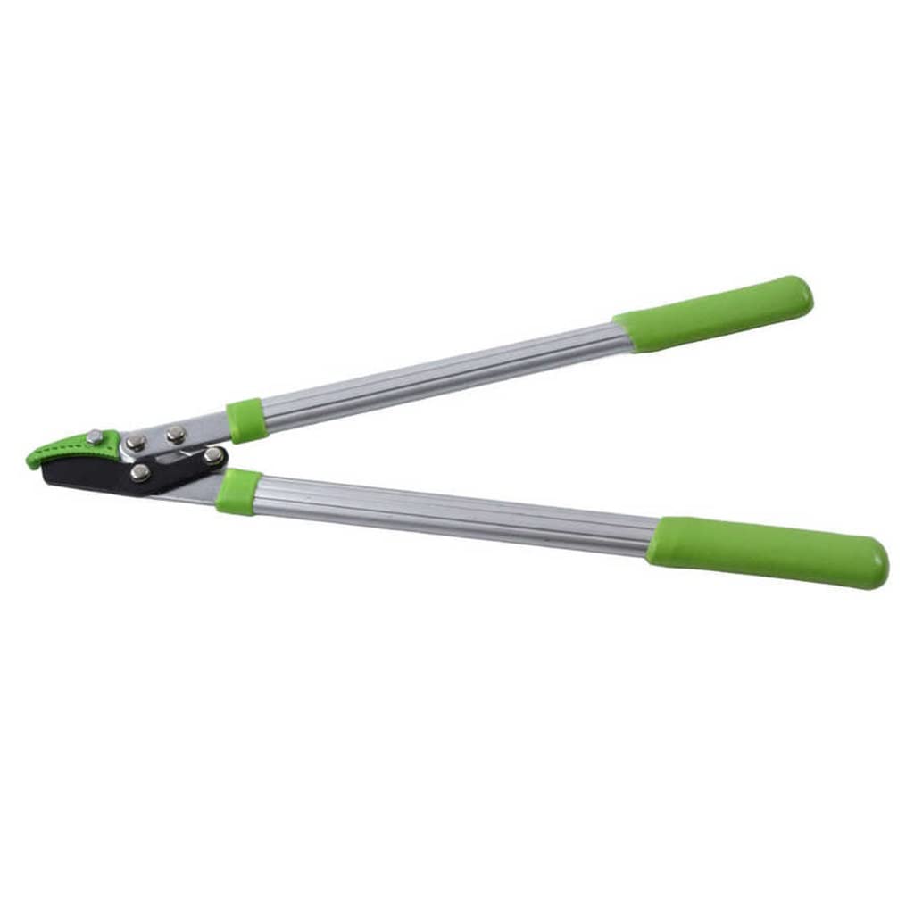 Durable Gardening Scissors - Professional Branch Pruning Shears for Flowers, Plants & Garden Trimming | Perfect for Home Gardening, Landscaping & Outdoor Use