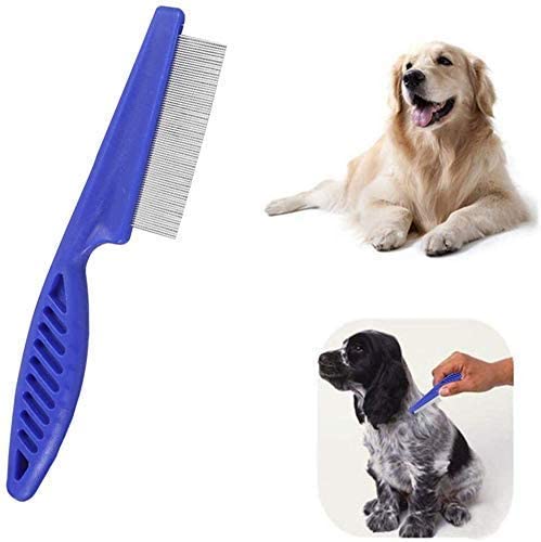 Frackson 2-Pack Stainless Steel Lice Comb Set - Long Handle & Different Models for Effective Head Lice and Nit Removal - Gentle Treatment for Men, Women & Kids - Perfect for Home, School & Travel Use