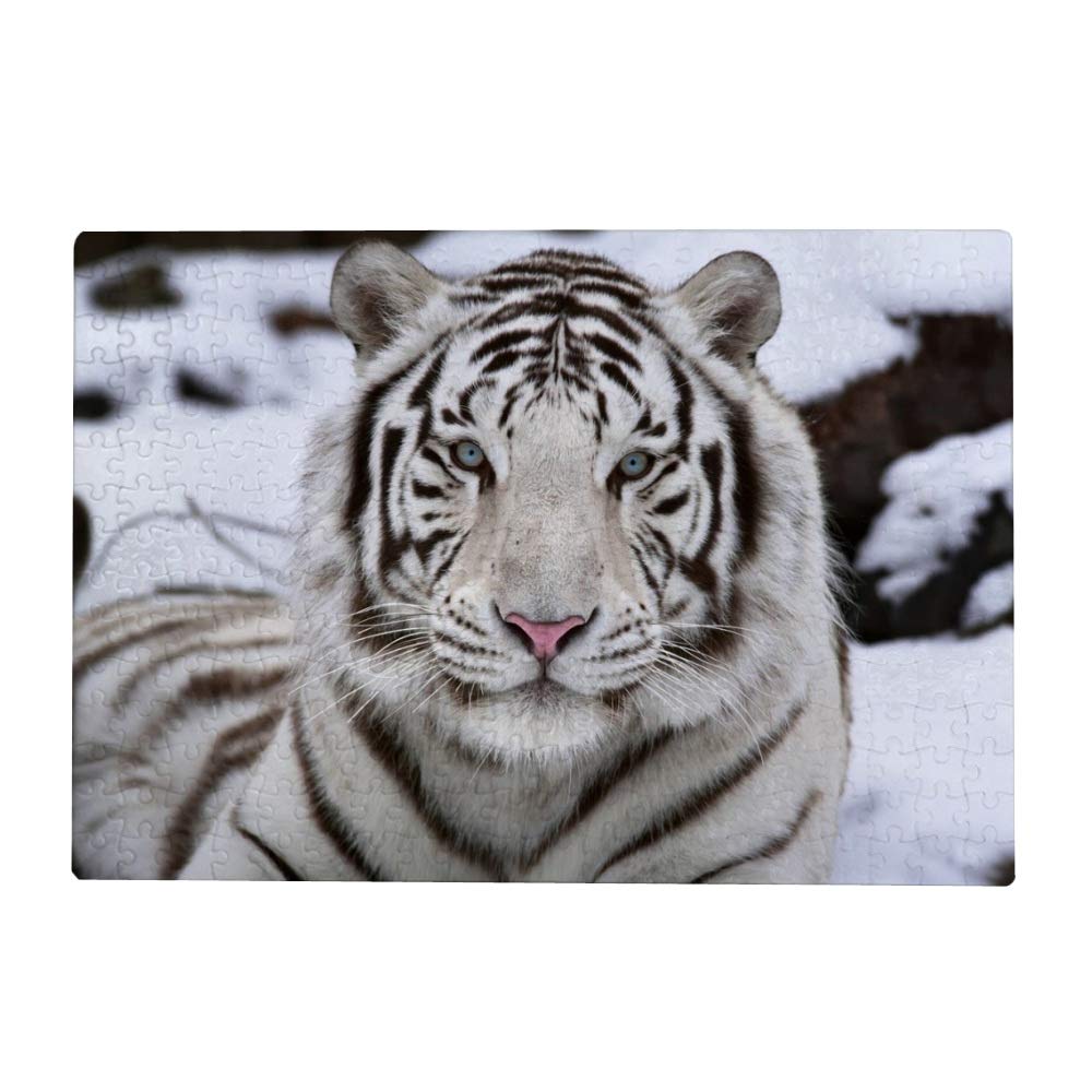 Vantaso 1000 Piece Jigsaw Puzzle for Adults & Kids - White Bengal Tiger Wildlife Puzzle - Family Game Night, Classroom Activity, Stress Relief & Home Decor