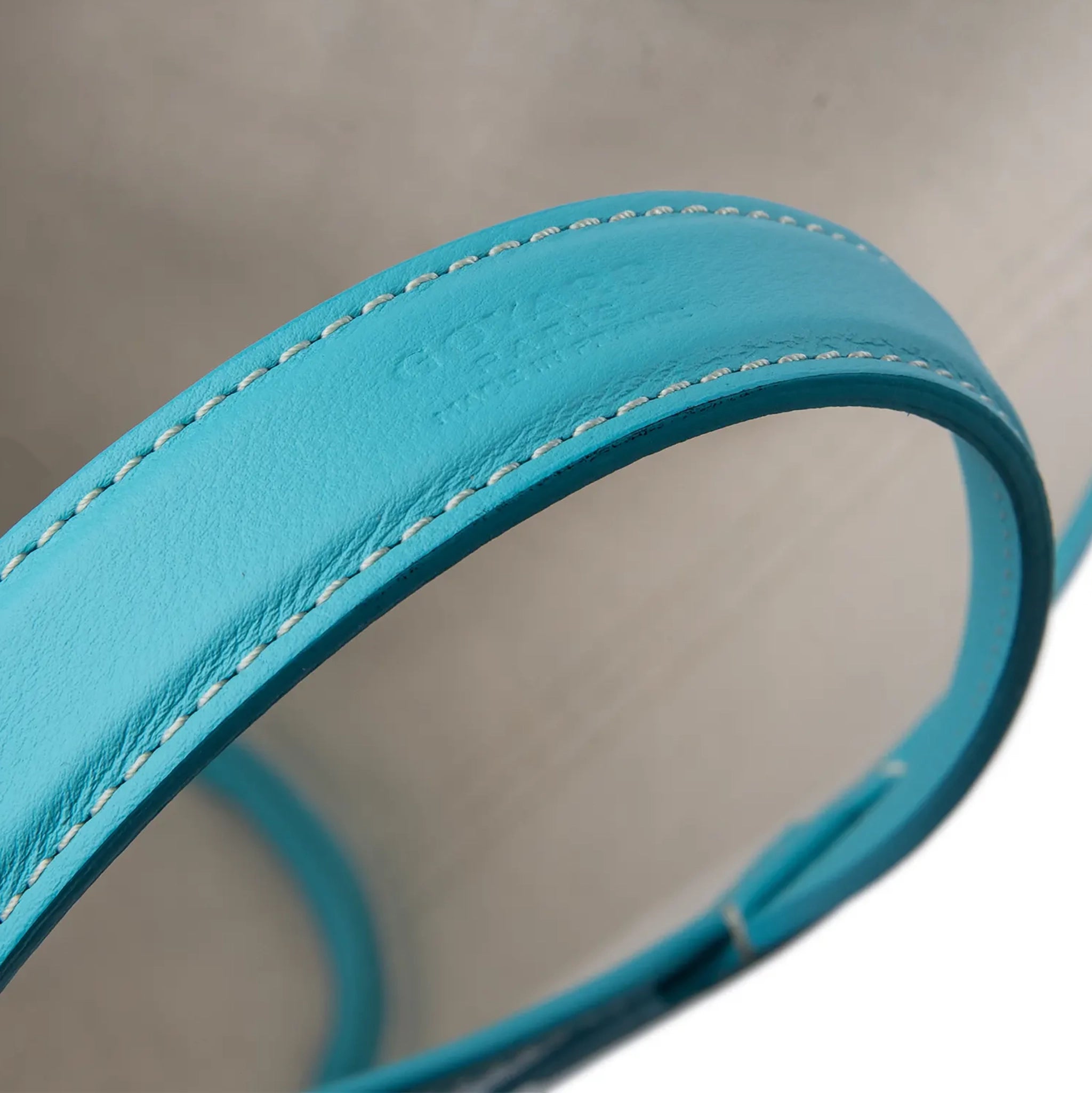 Goyard Belharra Turquoise PM Tote Bag for Women | Luxury Leather Handbag with Top Handle | Perfect for Work, Travel & Everyday Use