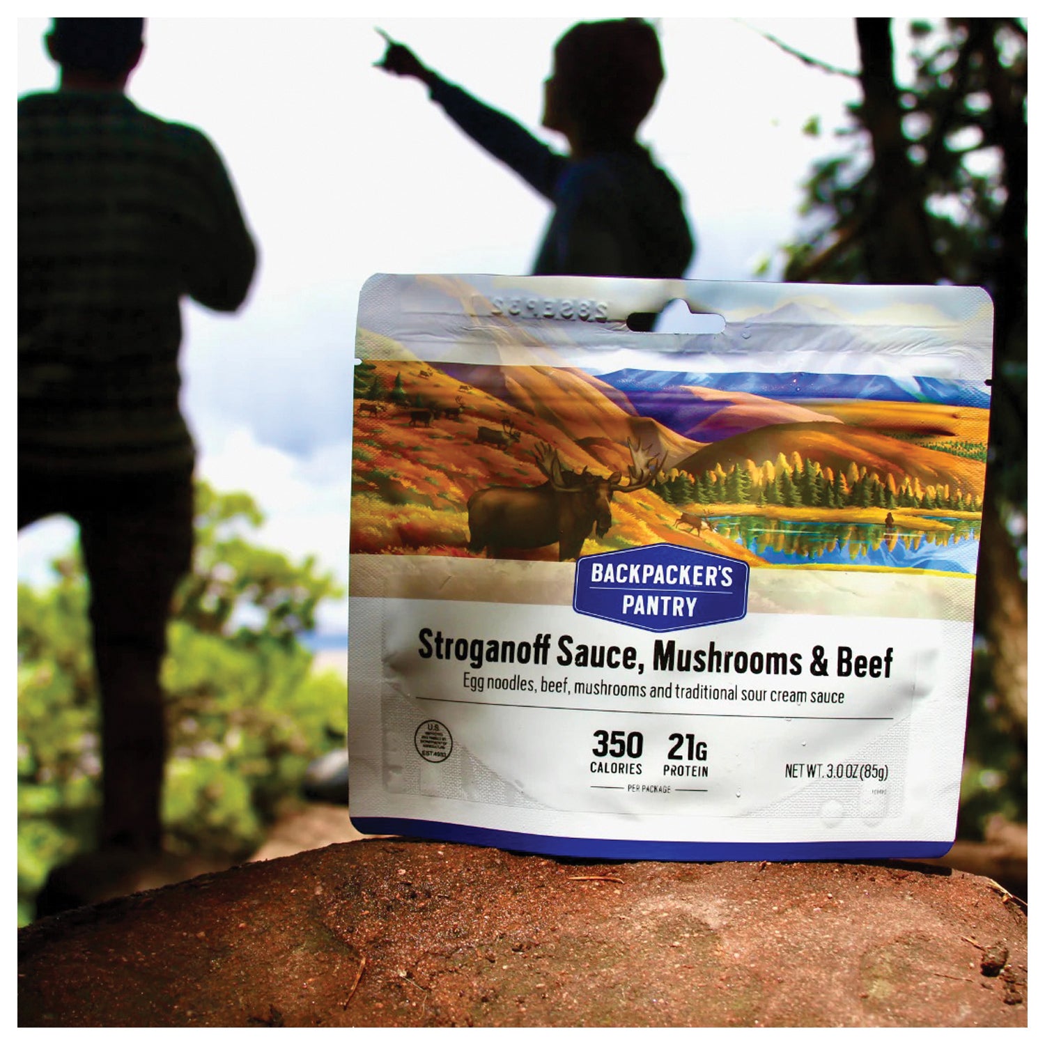 Backpackers Pantry Beef Stroganoff with Mushrooms - Freeze-Dried Meal for Camping, Hiking & Backpacking - Easy Prep & Long Shelf Life