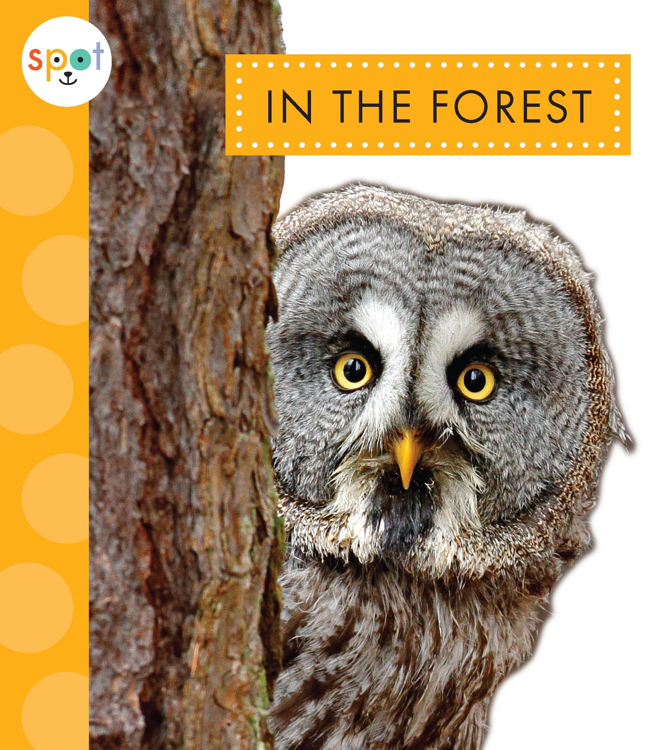 Explore the Enchanting Forest - Premium Outdoor Gear & Nature Essentials for Hiking, Camping & Adventure