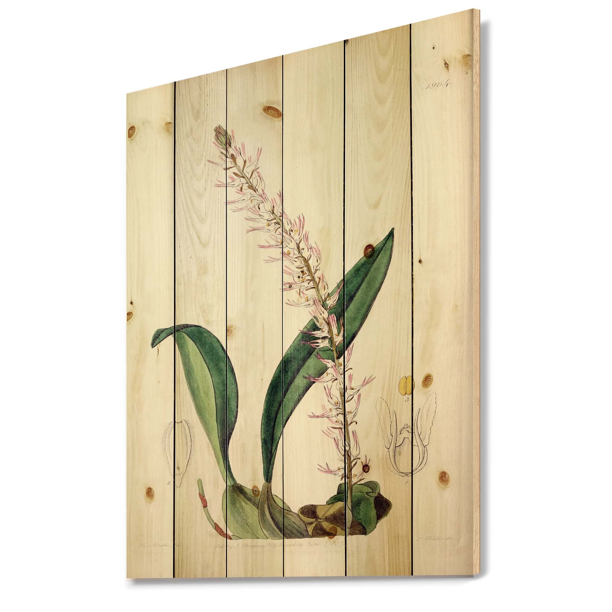 Vintage London Plants Wood Wall Decor - Traditional Floral Wall Art Panel, Large Green Botanical Print on Natural Pine Wood - Perfect for Living Room, Bedroom & Home Office Decor