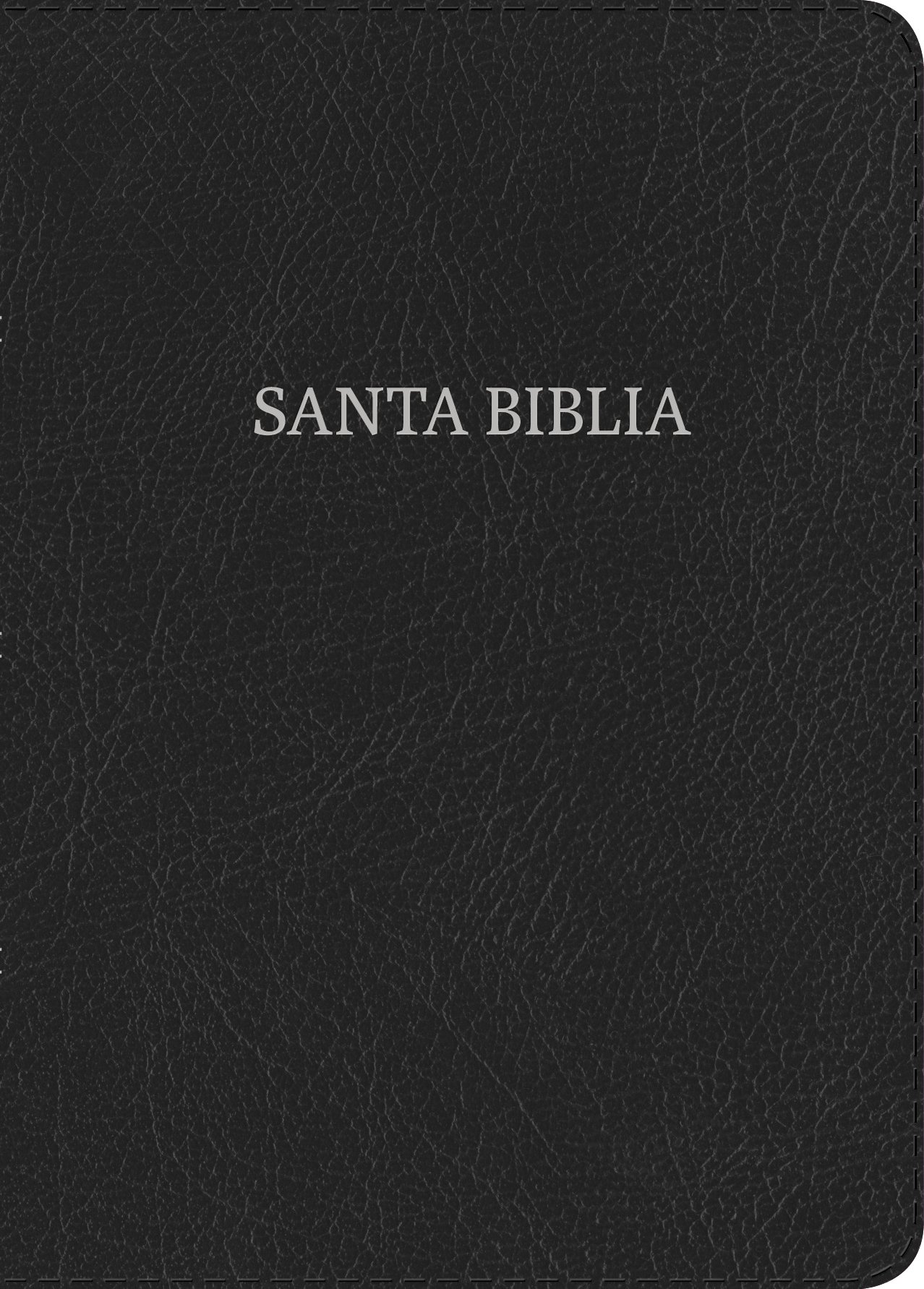 Hand Size Reina Valera 1960 Spanish Bible - Large Print, Bonded Leather Cover, Black | Perfect for Church, Bible Study & Personal Devotion