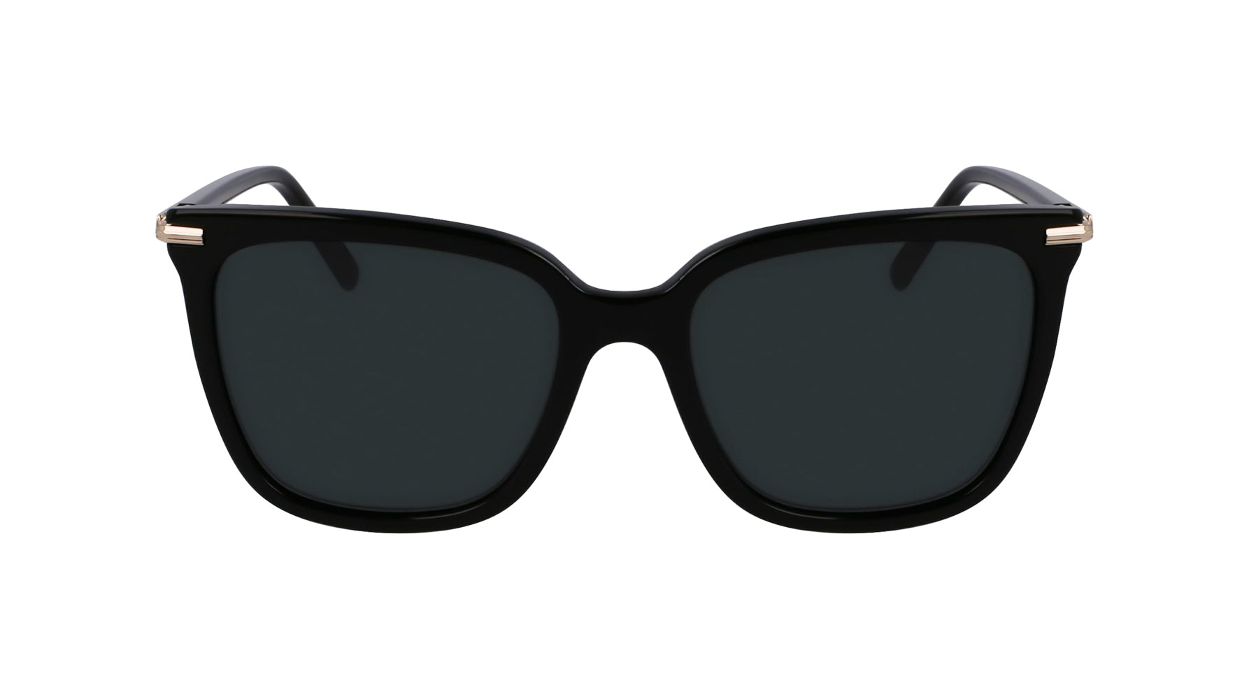 Ferragamo SF2037S Sunglasses for Women - Luxury Designer Shades with UV Protection - Perfect for Outdoor Activities, Beach, and Fashion Accessories