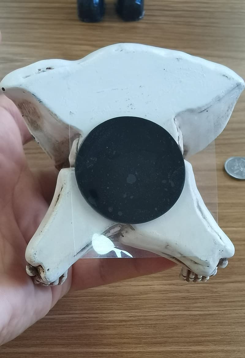 Stylish Skull Car Phone Holder - Dashboard Mount for iPhone & Android - Gothic Car Accessories & Halloween Decor - Perfect for Commuting, Road Trips & Home Office