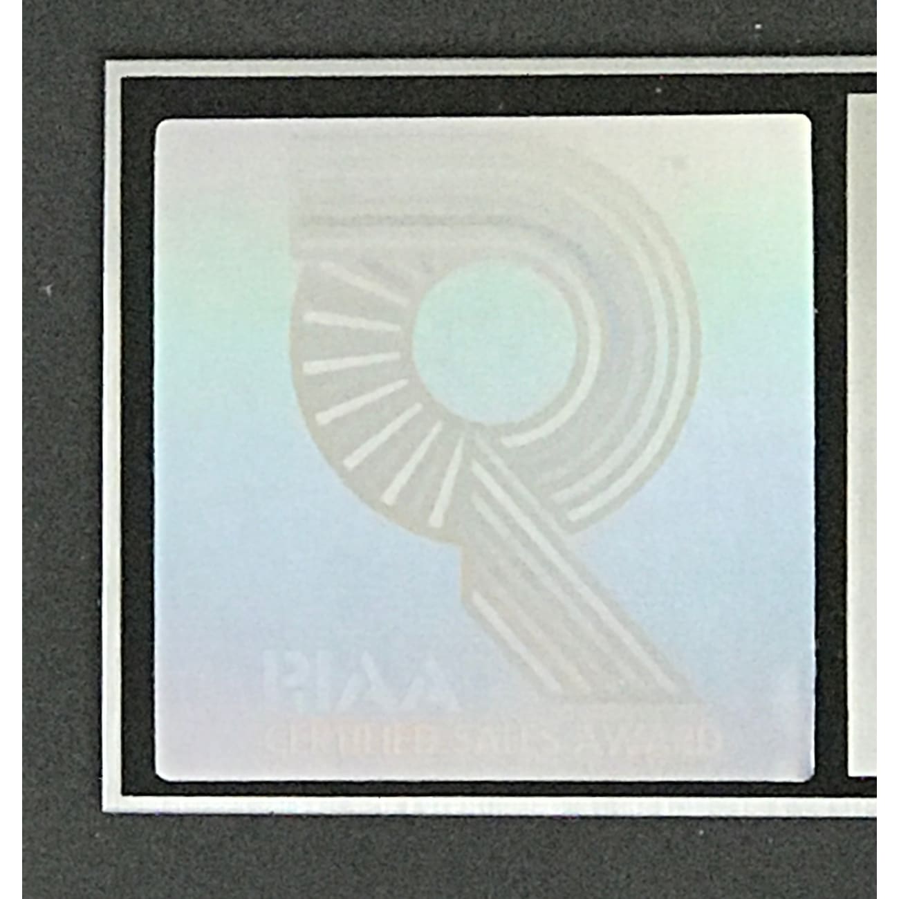 Elton John The One RIAA Platinum Album Award - Certified Music Collectible for Fans & Memorabilia Enthusiasts | Perfect for Display in Home, Office, or Music Room