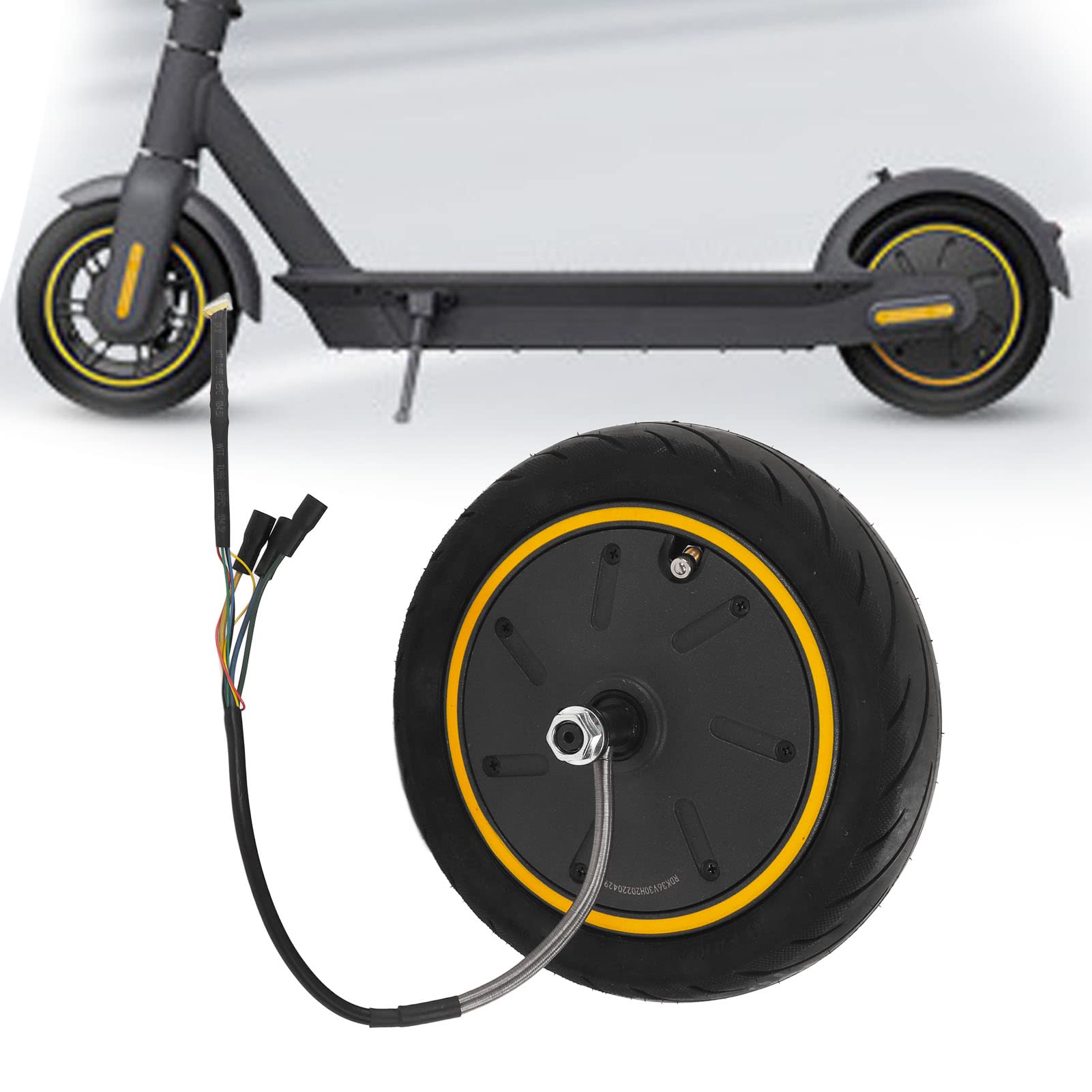 350W Electric Scooter Hub Motor - Rear Wheel Drive Replacement for MAX G30 Folding E-Scooter | Perfect for Commuting, Campus Travel & Last-Mile Transportation