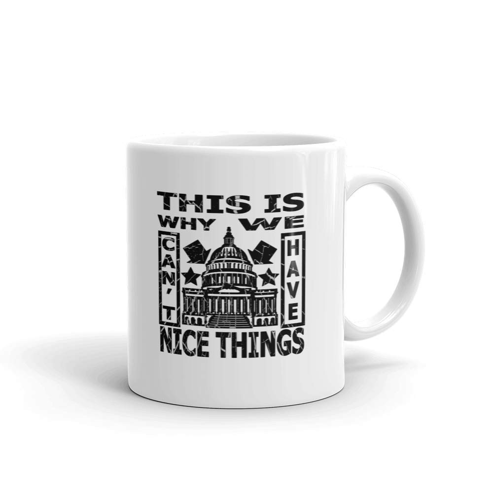 Funny Novelty Coffee Mug - 'This Is Why We Can't Have Nice Things' Government Humor 11oz Ceramic Cup for Tea & Coffee - Perfect for Office Gifts, Political Jokes & Sarcastic Humor Lovers