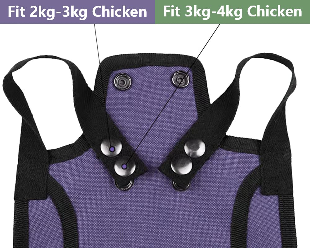 TOBILE Adjustable Chicken Saddle Hen Apron - Feather Protector for Back & Wings - Comfortable Poultry Protection with Strap - Perfect for Free-Range Chickens, Backyard Flocks & Small Farms
