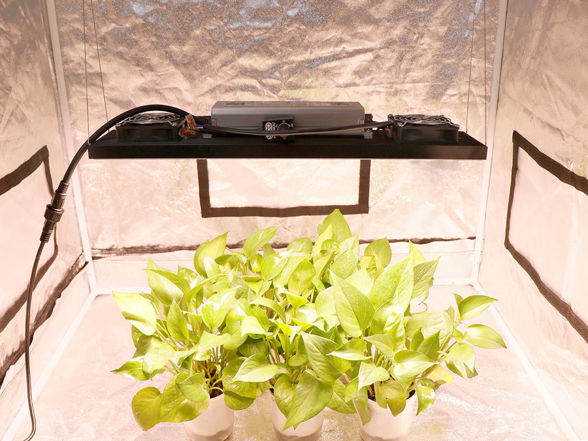 240W LED Grow Light for Plants, 3500K Full Spectrum with IR Switch, 48000lm High Output - Ideal for Indoor Gardening, Hydroponics, and Greenhouse Cultivation