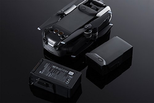 DJI Mavic Air 2 Intelligent Flight Battery - 2 Pack with Carrying Case | High-Capacity Drone Battery for Extended Flight Time | Perfect for Aerial Photography, Travel & Outdoor Adventures