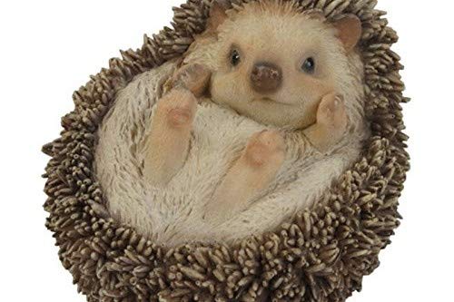 Hi-Line Gift Ltd Hedgehog on Back Statue - Cute Garden Decor, Unique Home & Office Decoration, Perfect Gift for Animal Lovers