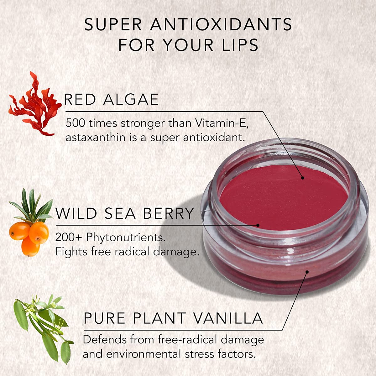 SEA SHADOW Matte Lip & Cheek Tint - Jojoba Oil & Vitamin E Enriched Multipot for Lips, Cheeks & Eyelids | Raspberry Pink Long-Lasting Makeup | Perfect for Daily Wear, Date Night & Special Occasions