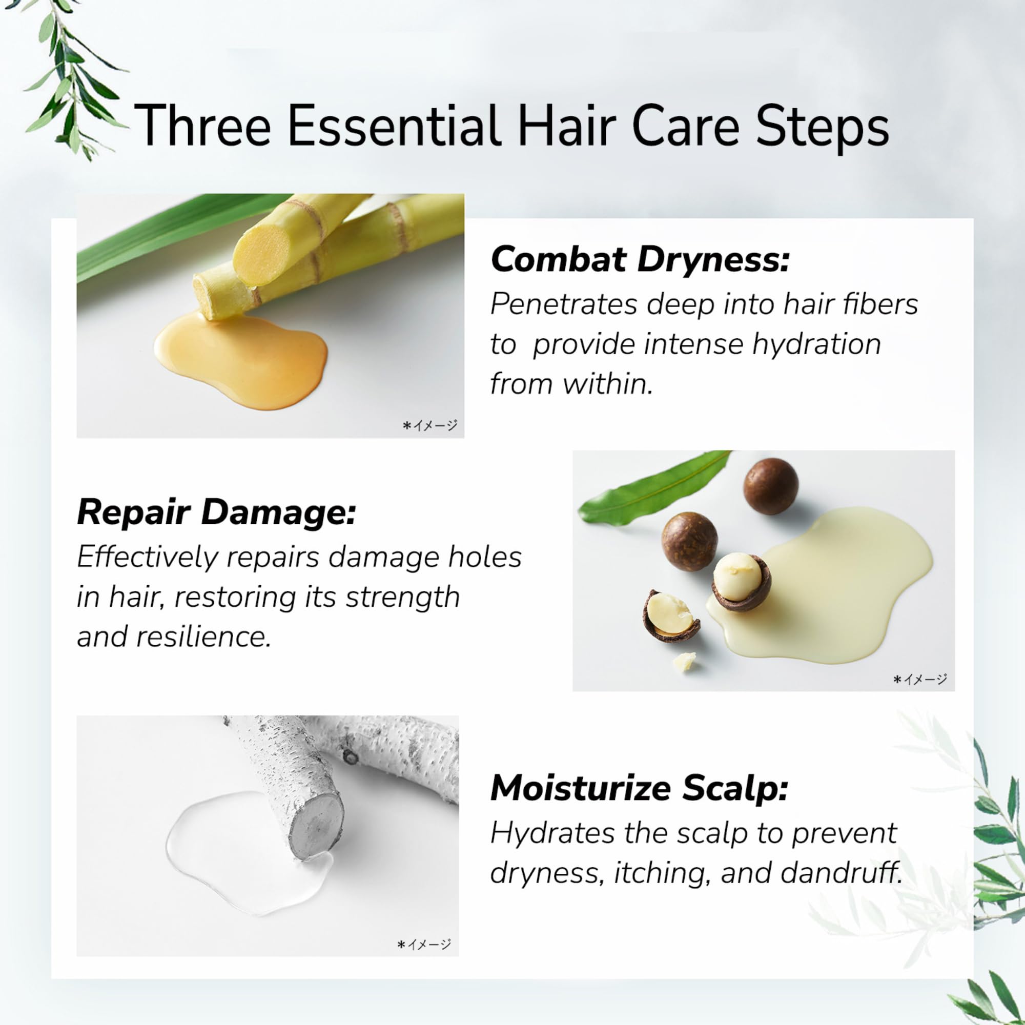 **Botanist Moisturizing Body Wash & Shampoo Set - Shea Butter & Macadamia Nut Oil for Hydration, Rosemary Leaf Extract for Scalp Care - Sulfate, Paraben & Dye-Free - 16.5 Fl Oz (490mL) Pack of 2 - Perfect for Dry Skin & Sensitive Scalp**